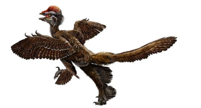 avialan dinosaurs