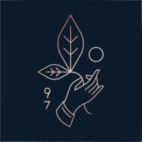 Rishi Tea Coupon Code
