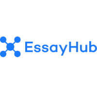 Essayhub Coupon Code